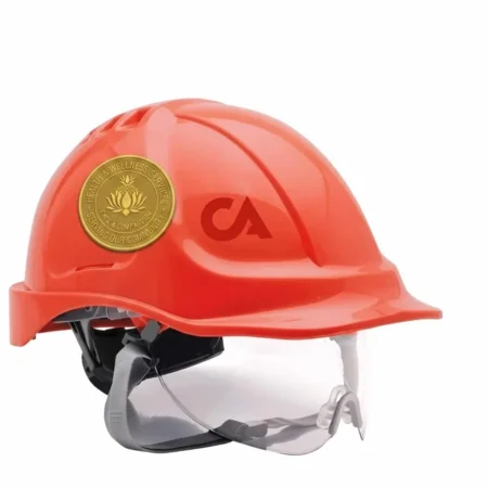 Custom Logo Printed Safety Helmet for Industrial & Factory Use